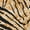 Apricot-Tiger, variant on Women's Elbow Sleeves Top Round Neck Slim Fit Basic Tee Casual Printed T-Shirt M Multicolor-Snake