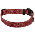 thumbnail image 6 of Country Brook Petz® Deluxe Red Bandana Dog Collar - Made in the U.S.A., Small, 6 of 6
