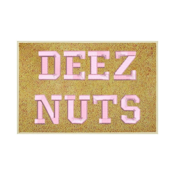 Heated Lap Blanket Stress Blanket Polyester Blanket Car Blanket Heater Soft Big Blankets 40x60cm Funny DEEZ N U T S Floor Mat Funny Door Front Floor Mat Decorations Cute Floor Mat Decorations