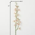 thumbnail image 4 of Sullivans Artificial Light Pink Spider Orchid Stem 32"H Off-White, 4 of 4
