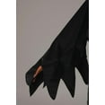 thumbnail image 3 of Women's Classy Crow Costume, 3 of 8