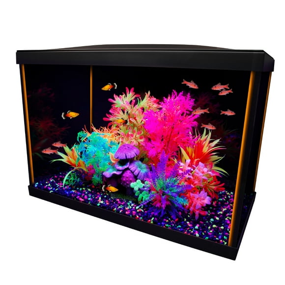 Marina iGlo 20 Ensemble d'Aquarium, Bac à Poissons 75 L (20 US gal)