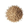 thumbnail image 2 of Coriander Seeds, Non-GMO Verified, 0.5 Pounds — Kosher, Raw, Vegan — by Food to Live, 2 of 6
