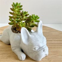 BNNG Resin Dog Succulent Planter Mini Puppy Plant Planter,French Bulldog Shape Cute Bonsai Flower Pots for Home Garden Office Desktop Decor (No Plants), White
