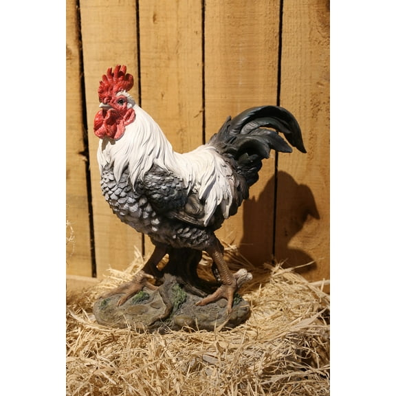 Hi- Line Gift 87961-WT Black/White Rooster Statue