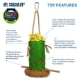thumbnail image 3 of Bird Toy Prevue Pet Products Forage & Engage Tropical Teasers Shack 62408, 3 of 7