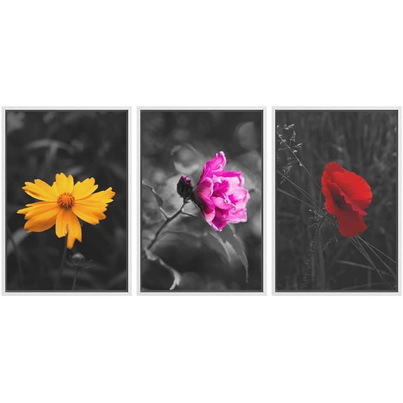 wall26 3 Panel Framed Canvas Wall Art - Touch of Color Flowers on Black and White Background - Giclee Print Gallery Wrap Modern Home Art Ready to Hang - 24"x36"x3 White