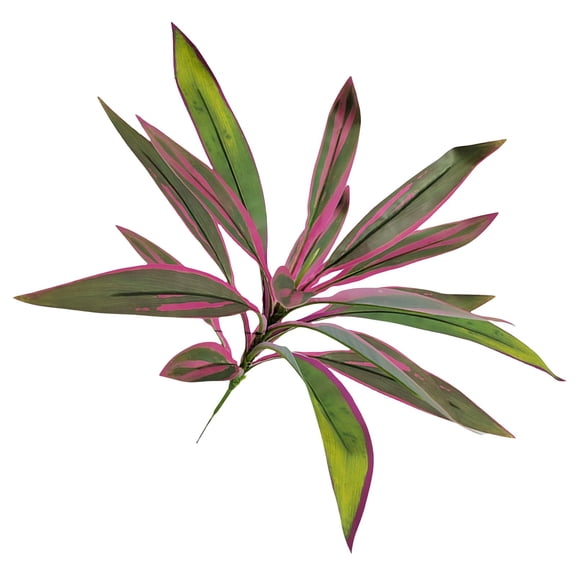 Artificial Cordyline Plant Stems, Fake Ti Leaf Tropical Greenery, Faux Dracaena Plant Picks, Artificial Cordyline Fruticosa Leaves for Indoor Outdoor Home Garden Decor