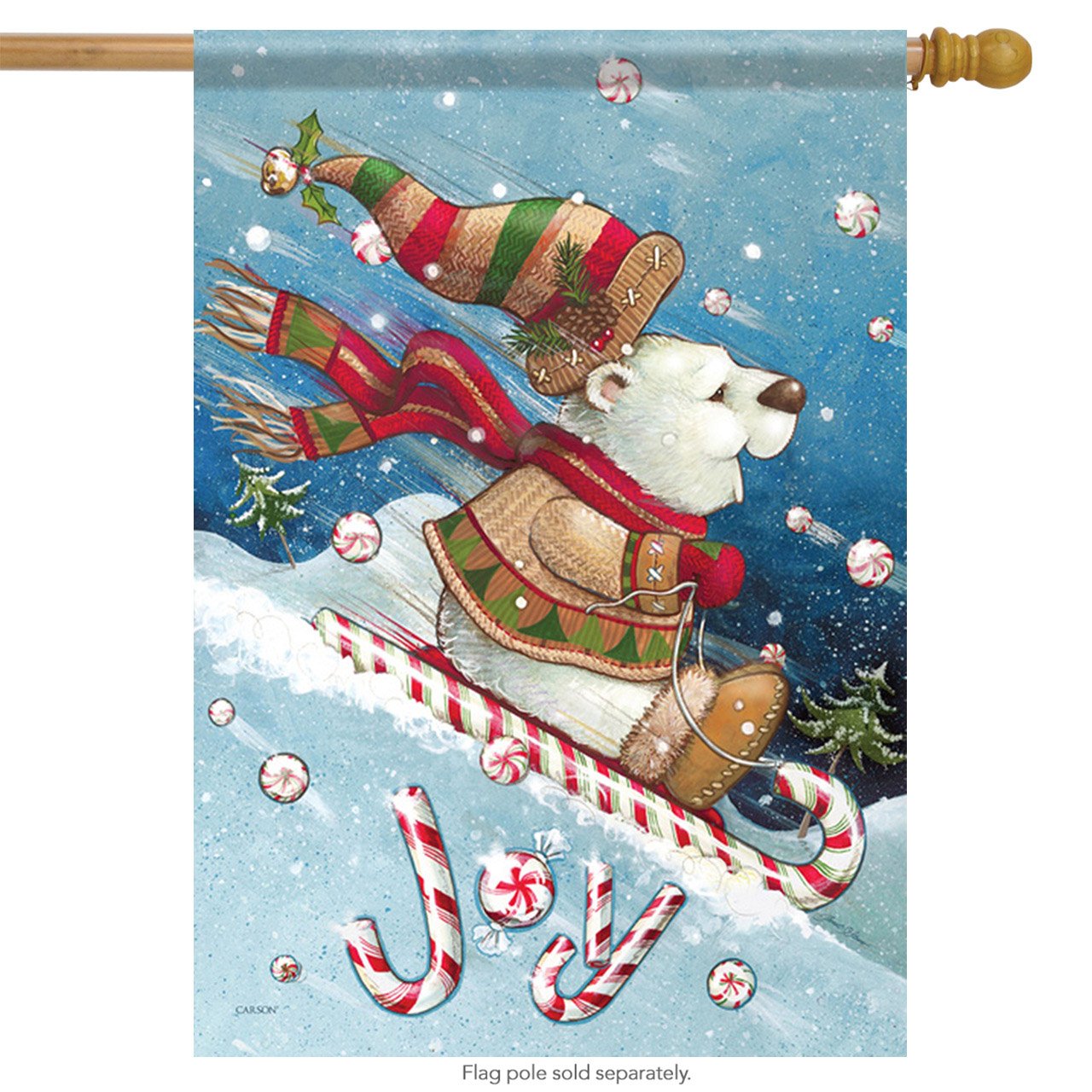 Carson Joy Ride House Flag, 28 x 40 By Flag Trends