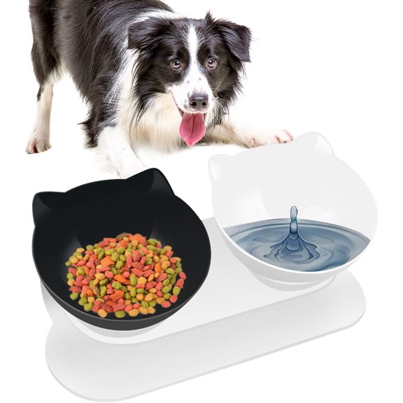 WELLXUNK Transparent Non-Slip Feeding Pet Bowl for Cats & Dogs, Clear (2 Pack)