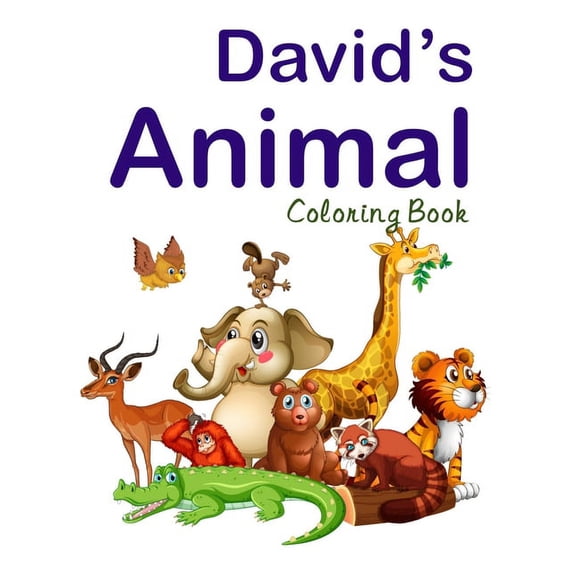 David's Animal Coloring Book, (Paperback)
