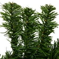 thumbnail image 6 of Northlight 36 in. Unlit Artificial Canadian Pine Christmas Wreath, 6 of 7