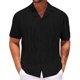 thumbnail image 1 of Blusa y camisa de manga corta con cuello vuelto Camisa de verano de color liso de manga corta para hombre Camisa holgada de media manga que no necesita planchado Top/camisa de manga corta con solapa T, 1 of 5