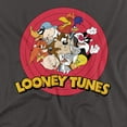 thumbnail image 2 of Looney Tunes Group Women's T Shirt, Charcoal, X-Large, 2 of 6