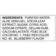 thumbnail image 2 of Ace Aloe Juice Blueberry Flavor, 16.90 Fl oz., 2 of 6