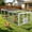 20.7 ft Chicken Run Extension AIR60, variant on Aivituvin 20.7 sq ft Chicken Coop Run Extension for Outdoor, Heavy Duty Metal Chicken Run with Safety Lock Doors, 79"x38"x27"