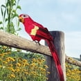 thumbnail image 3 of Haofy Simulation Decor, Simulation Feather Beautiful Artificial Bird Decor Party For Lawn Garden Home Decoration, 3 of 8
