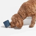 thumbnail image 4 of Juguete interactivo para morder con forma de tenis, ideal para perros pequeños, ideal para limpiar, masticar y jugar., 4 of 5
