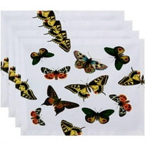 Simply Daisy 18" x 14" Butterflies Animal Print Placemats, Set of 4