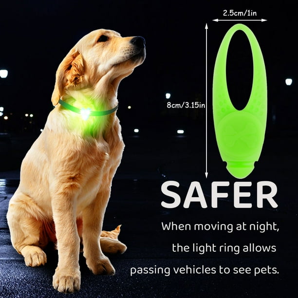 Walmart dog cheap accessories