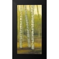 thumbnail image 2 of Joy, Julie 14x24 Black Modern Framed Museum Art Print Titled - Sunny Birch Grove II, 2 of 5