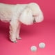 thumbnail image 5 of Estuche de entrenamiento de olores para perros, 10 unidades, 5 of 5