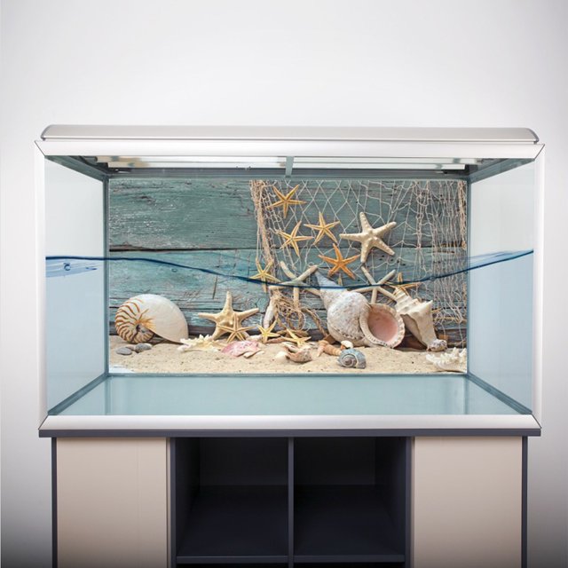3D Effect Adhesive, Poster For Aquarium Fish Fish Backgrounds Seashell Starfish Decoration S
