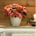 thumbnail image 3 of Better Homes & Gardens 1.25Gal Orange Poinsettia Houseplant Decorative Pot Indirect Sunlight, 3 of 6