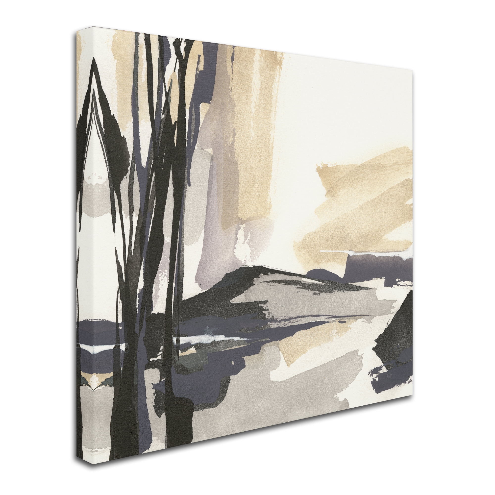 Trademark Fine Art 'Placid IV' Canvas Art by Chris Paschke