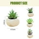 thumbnail image 2 of 4 Uds. De plantas suculentas en macetas de simulación, pequeños adornos creativos para interiores, plantas verdes artificiales, 2 of 5