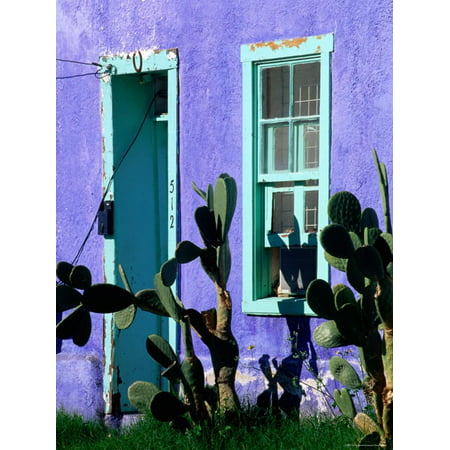 Cacti Outside Adobe House in Historic District, Tucson, Arizona Print Wall Art By David (Best Color For Outside House Wall)