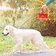 thumbnail image 5 of Dispensador de bolsas de caca con forma de hueso - Clip portátil y duradero - para correas, fácil acceso a las bolsas - para paseos al aire libre, 5 of 8