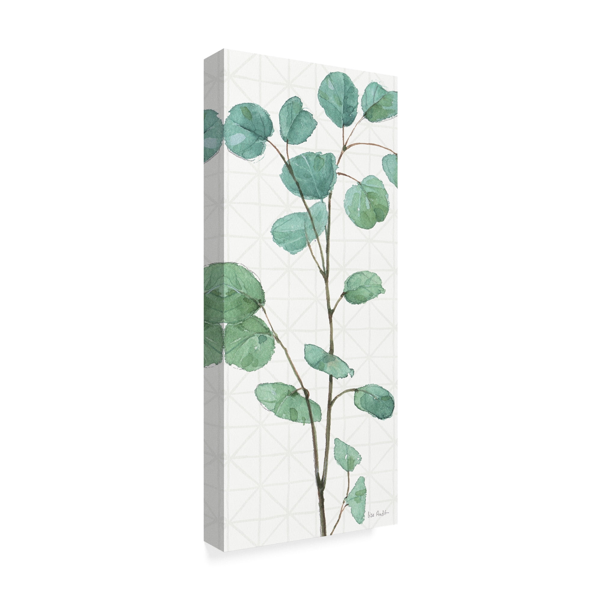 Trademark Fine Art 'Mixed Greens LIX' Canvas Art by Lisa Audit