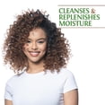 thumbnail image 2 of Champú BioSilk Silk Therapy con aceite de coco orgánico 355 ml, 2 of 5