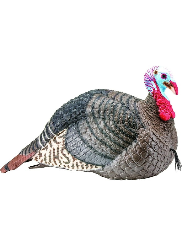 Turkey Decoys in Decoys