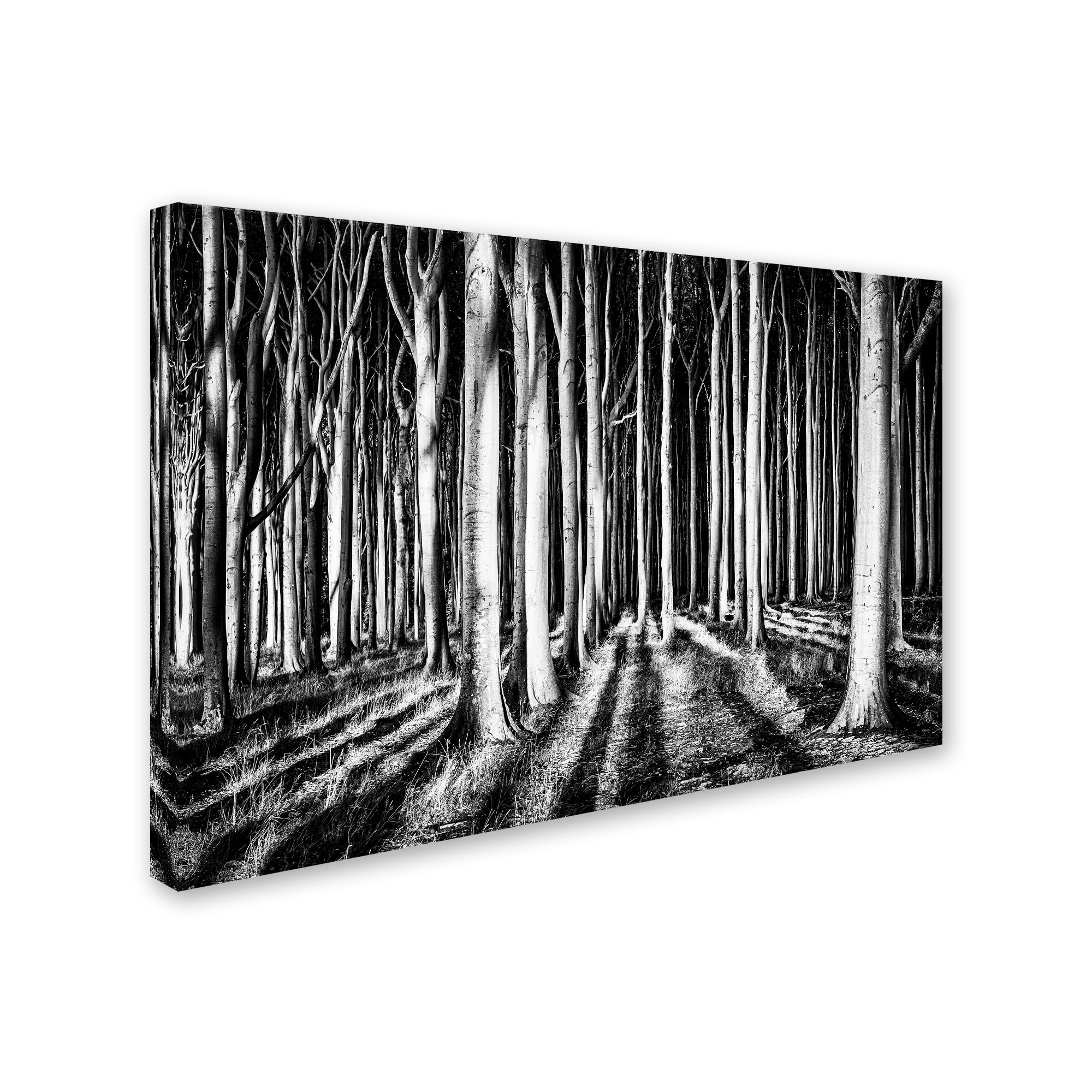 Pixxelpark 'Ghost Forest' Canvas Art