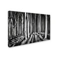 thumbnail image 2 of Pixxelpark 'Ghost Forest' Canvas Art, 2 of 3