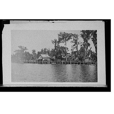 Historic Print, Satsuma on the St. Johns, 16" x 20"