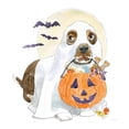 thumbnail image 3 of Grove, Beth 20x20 Black Modern Framed Museum Art Print Titled - Halloween Pets III, 3 of 5