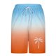 thumbnail image 5 of Pantalones Cortos Casuales para Hombre Imprimir con Bolsillos Pantalones de Playa de Cintura Elástica, Pantalones Cortos de Cintura Elástica para Hombre, 5 of 5