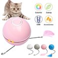 thumbnail image 3 of USB Rechargeable Anti-Anxiety Pets Ball Toys with LED Lights Color-Changing Entertainment Bell Sound Playset Indoor Exercise Pink, 3 of 7