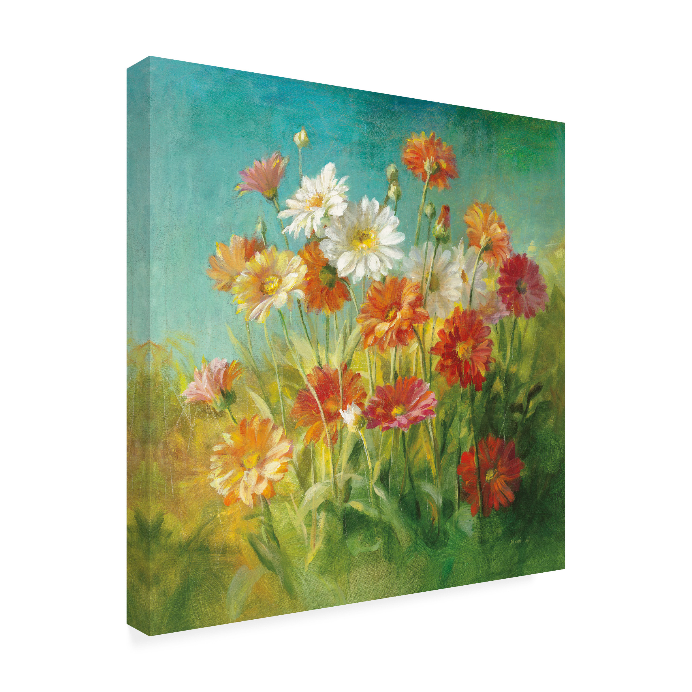 Trademark Fine Art 'Painted Daisies' Canvas Art by Danhui Nai