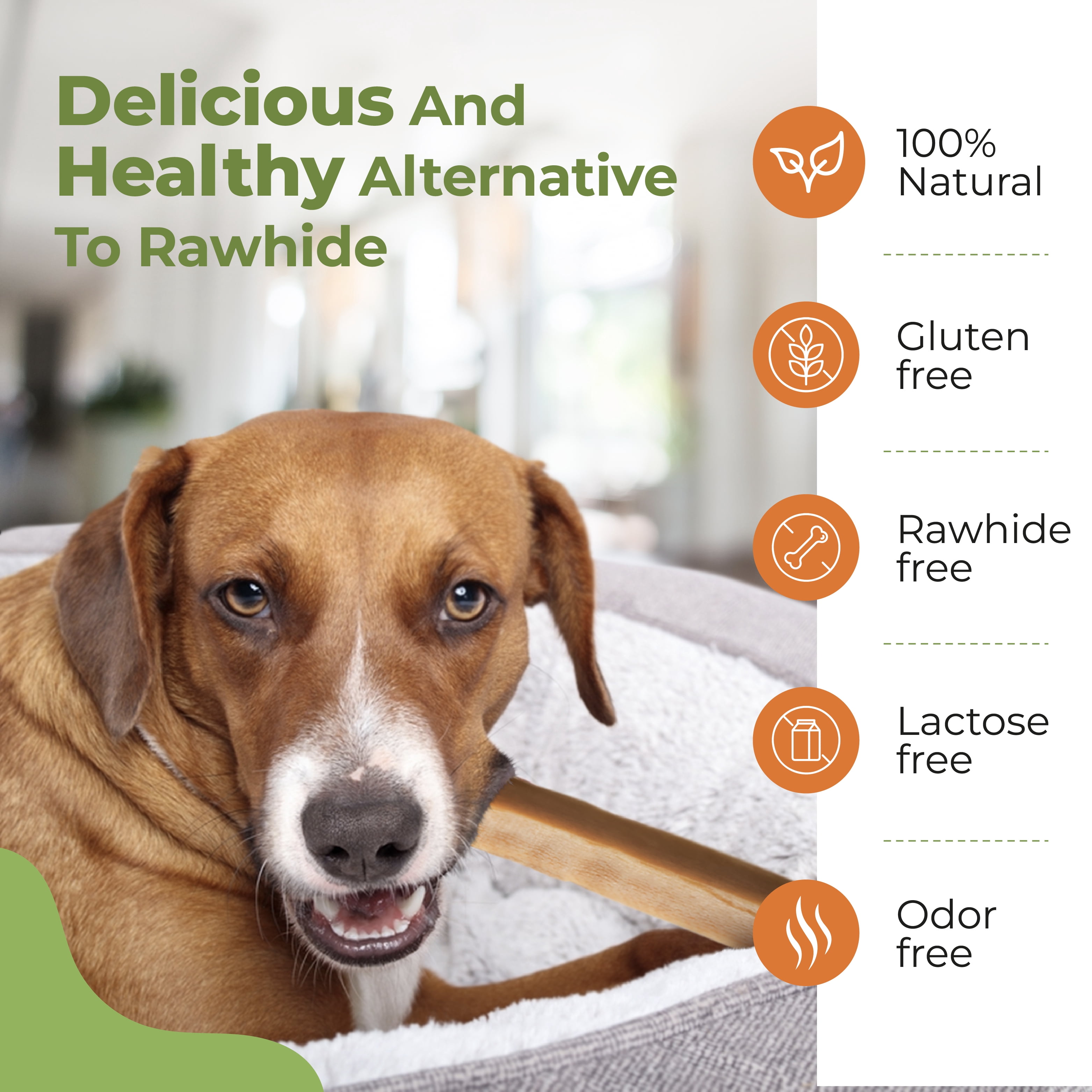 Kathmandu's-Authentic Himalayan Cheese - Natural Dog Chew, 2 XLarge Chews / Pack