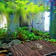 thumbnail image 3 of 1PC Fish Tank Background Board Emulated Oak Bark Reptile Box 3D Decorative Board, 3 of 4