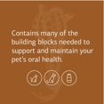 thumbnail image 3 of Suplemento para mascotas Standard Process VF Bio-Dent 90 comprimidos, 3 of 7