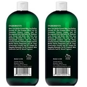 Botanic Hearth Tea Tree Body Wash for Dry Itchy Skin, Antifungal Body Wash with Tea Tree Oil, Sulfate & Paraben Free, 16 fl oz, Pack of 2