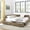 Brown + Velvet +Foam, variant on Velvet Queen Bed Frame with Headboard, Tufted Upholstered Storage Daybed Frame, Multi-Functional Sofa Bed Frame with Armrest & Drawer Storage for Bedroom Living Room