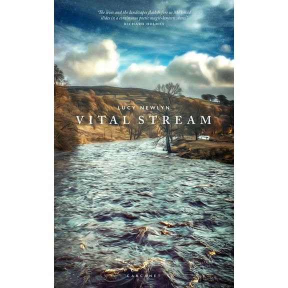 Vital Stream, (Paperback)