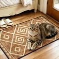 thumbnail image 5 of Throw Rug Washable Non Slip Low Pile Soft Bedside Rug 31x20 Inch Indoor Vintage Small Area Rugs Door Mat for Entrance Kitchen Bedroom, Brown, 5 of 10