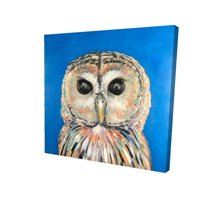 8 x 8 in. Colorful Spotted Owl-Print on Canvas
